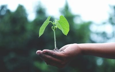 Part II: Transforming Patterns of People-Pleasing
