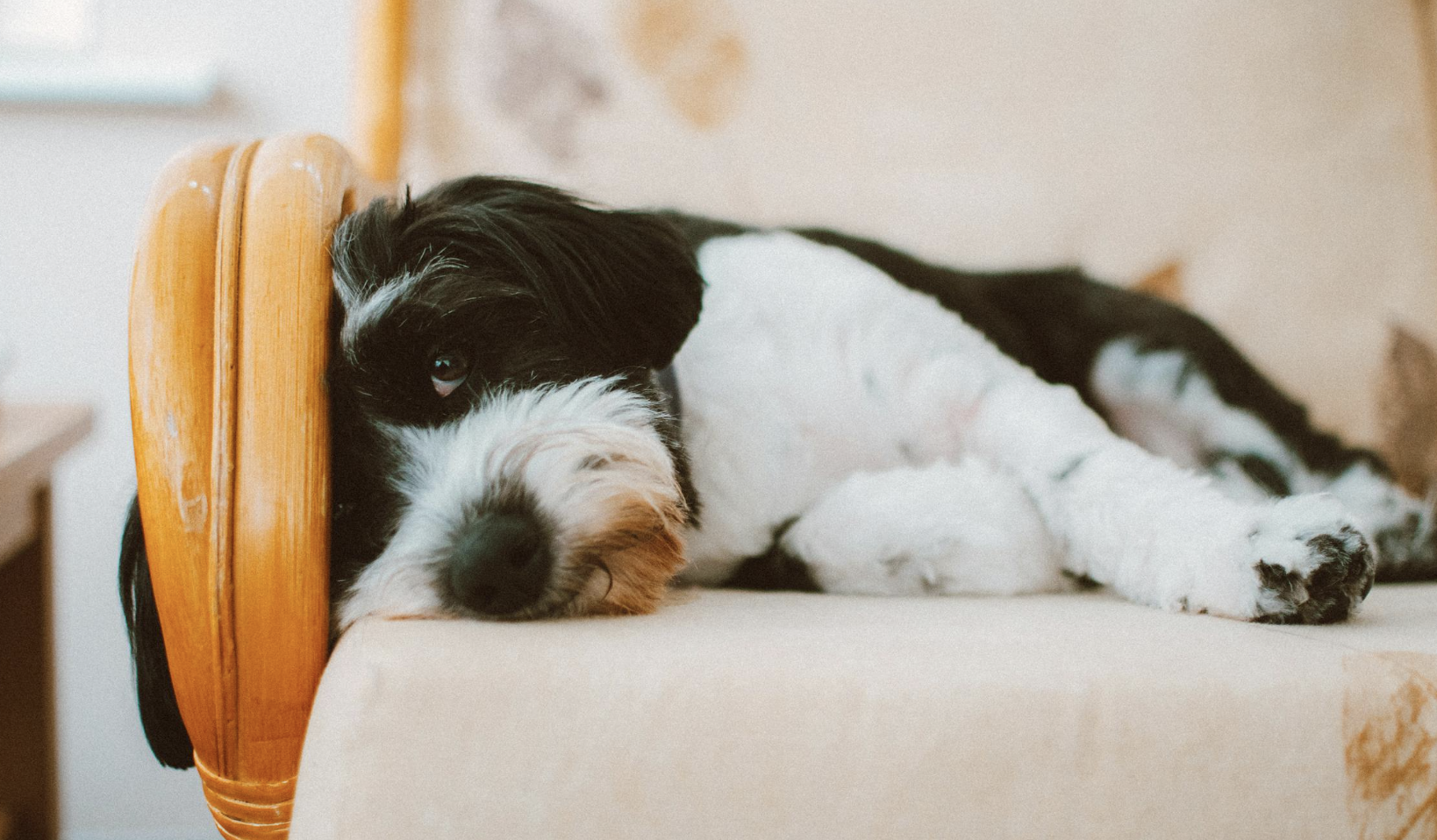 Embracing Seasonal Slowdowns, mental health benefits of rest, winter selfcare tips