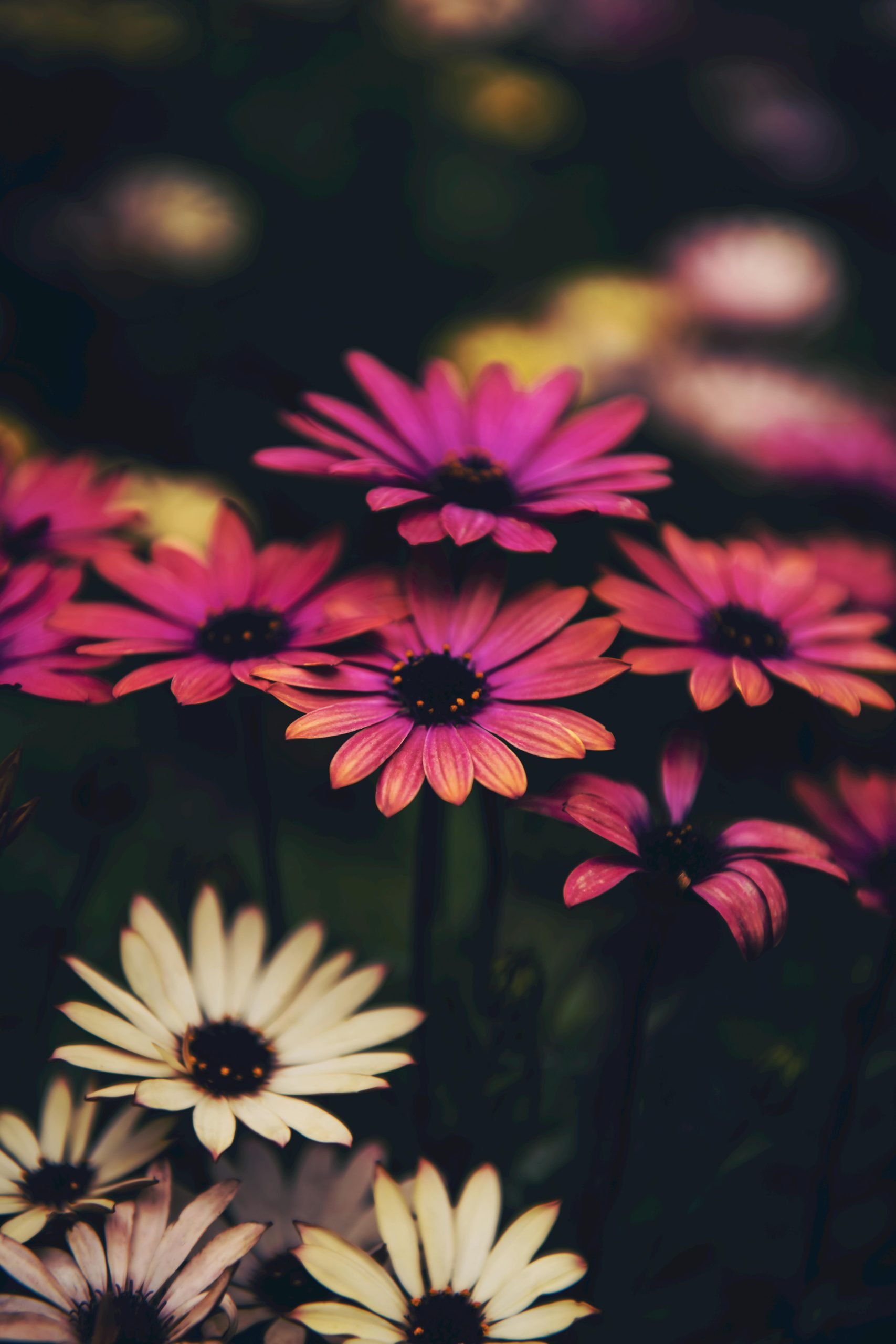 winter movement for mental health, seasonal movement, movement and mood, winter wellness tips