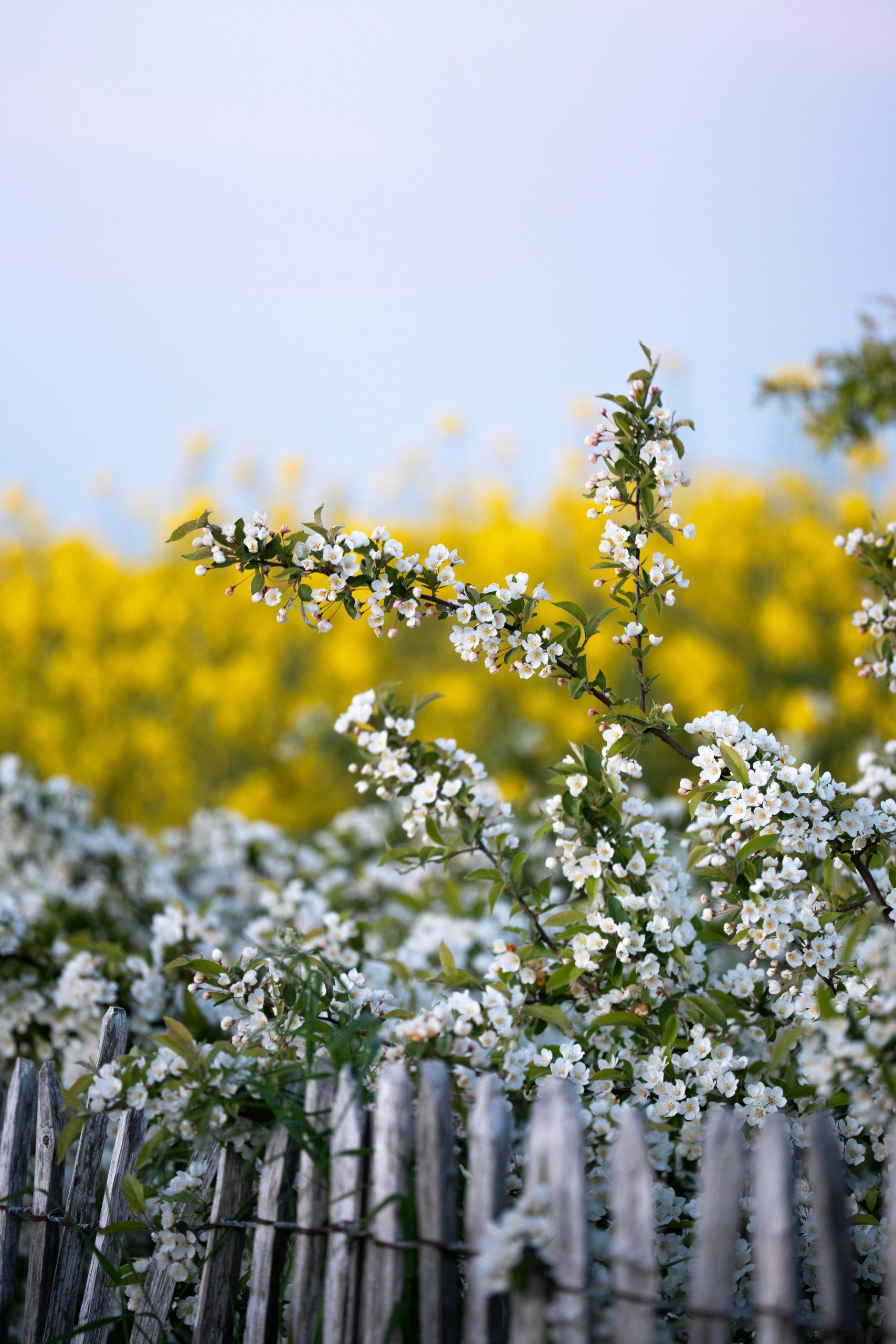 winter wellness tips, nervous system regulation, winter motivation